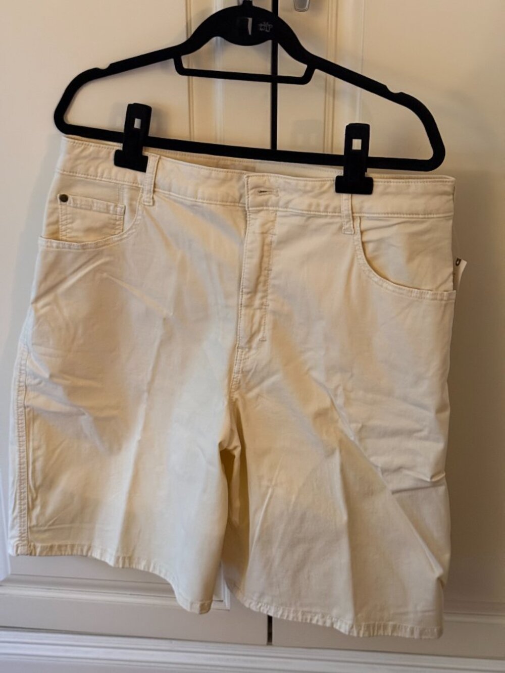 Anthropologie Pilcro Bermuda Shorts, Cream, Size 32, NWT